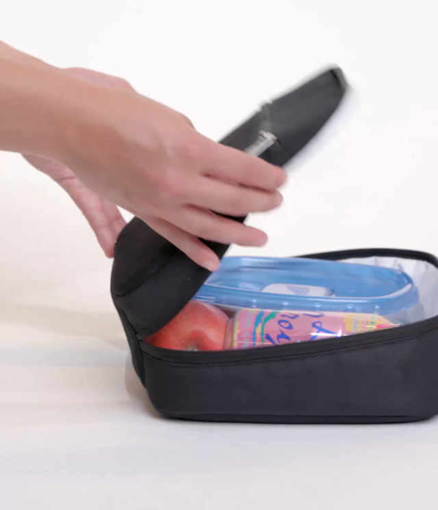 Amazon.com: JanSport Lunch Break Insulated Cooler Bag - Leakproof